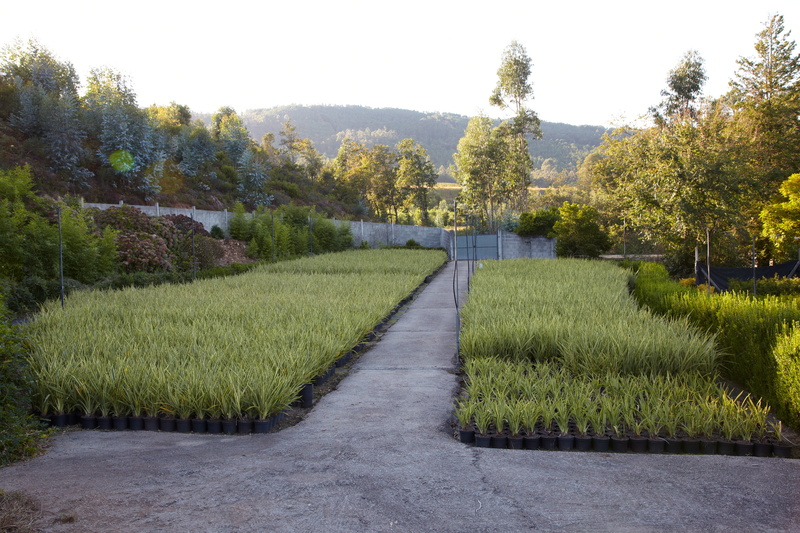 Imaxe establecemento 