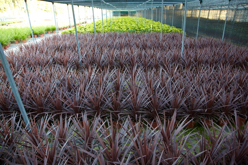 Imaxe establecemento 