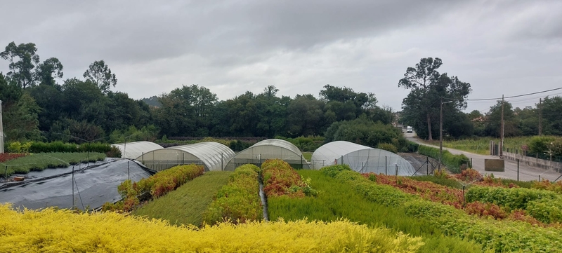 Imaxe establecemento 