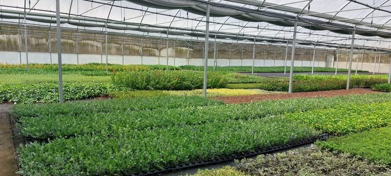 Imaxe establecemento 