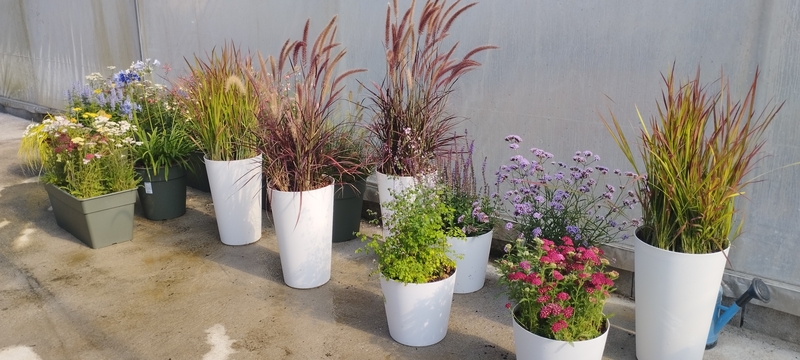 Imaxe establecemento 