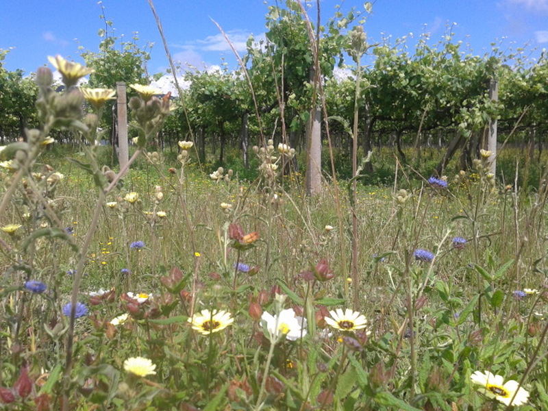 Imaxe establecemento 