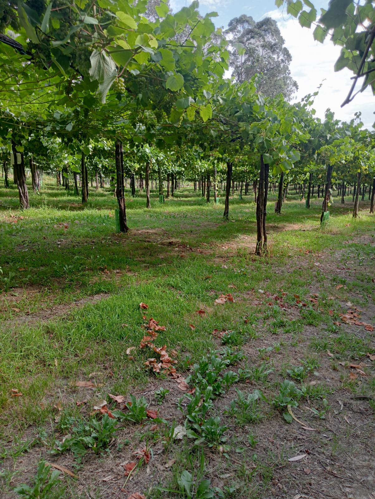 Imaxe establecemento 