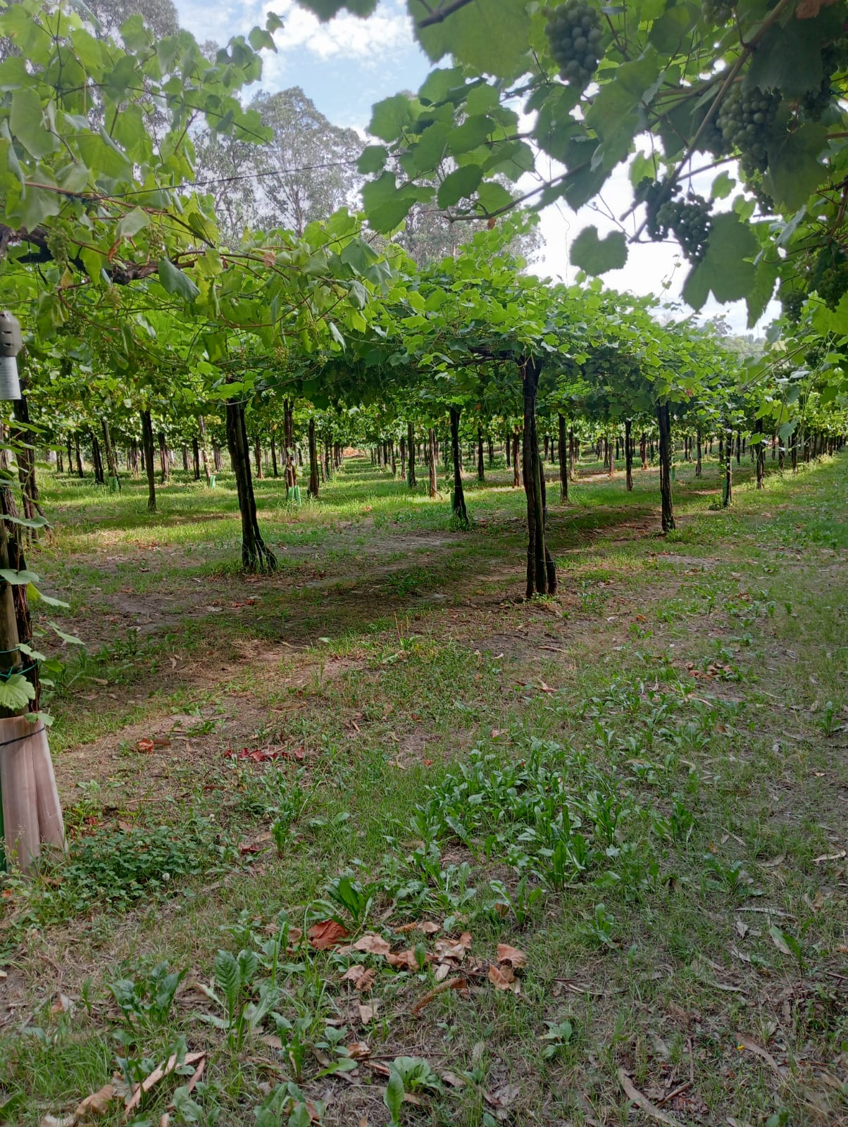 Imaxe establecemento 