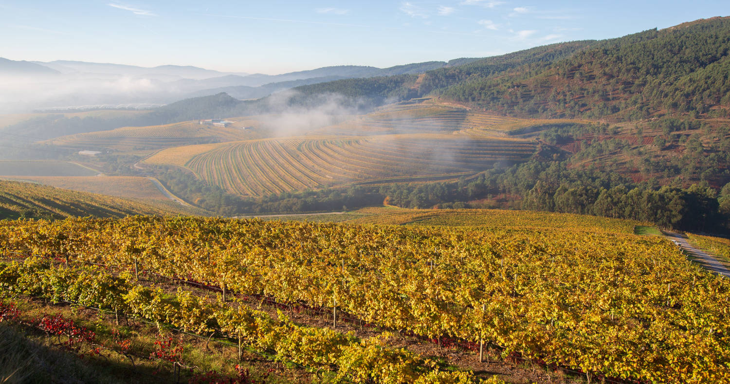 Imaxe establecemento 