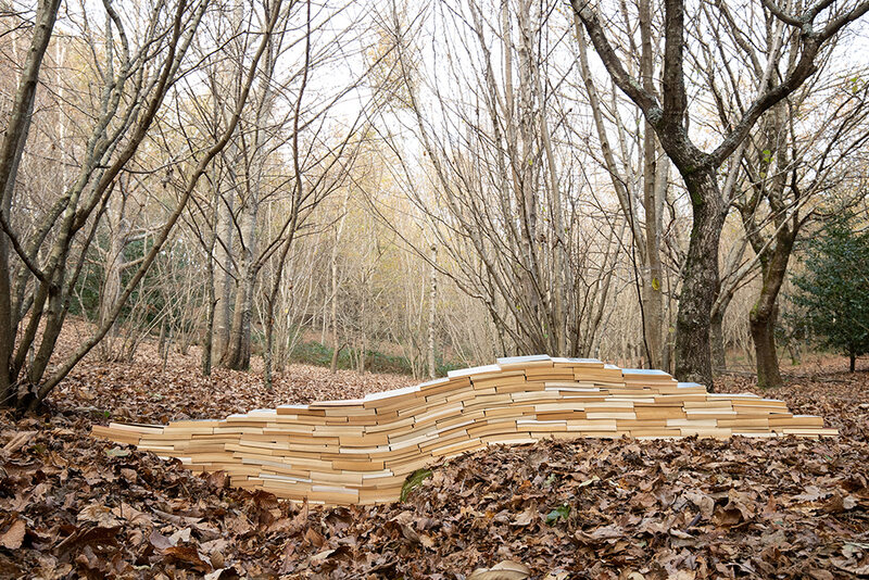 Imaxe establecemento 