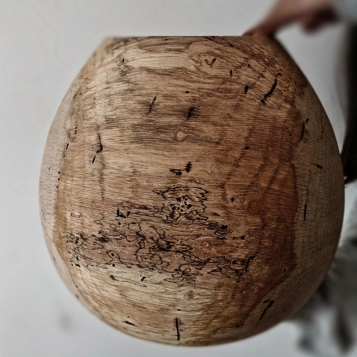 Imaxe establecemento 