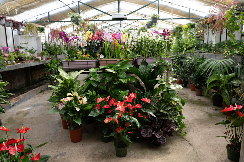 Imaxe establecemento 