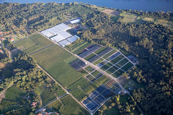 Imaxe establecemento